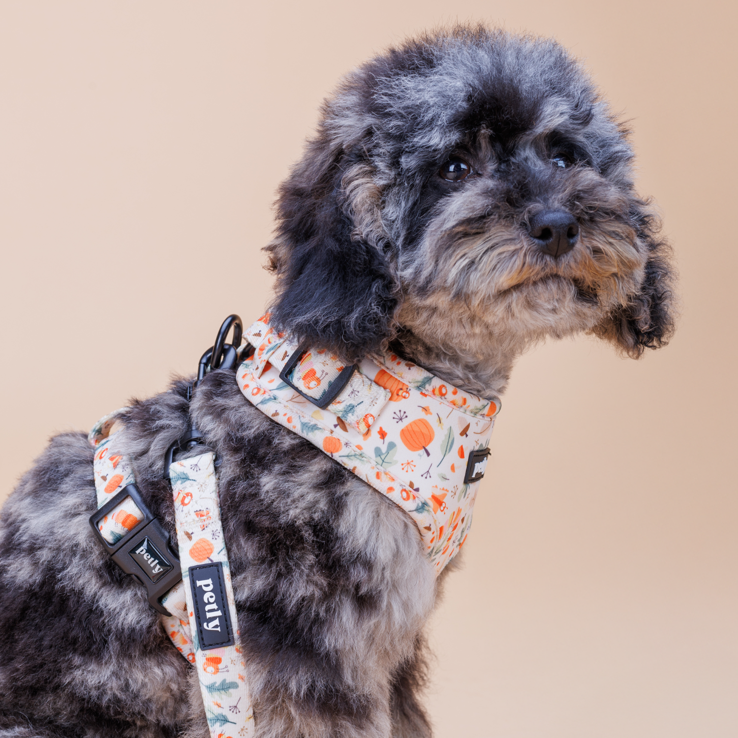 Szelki 'SNUG' Bezuciskowe